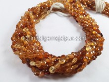 Hessonite Faceted Coin Beads